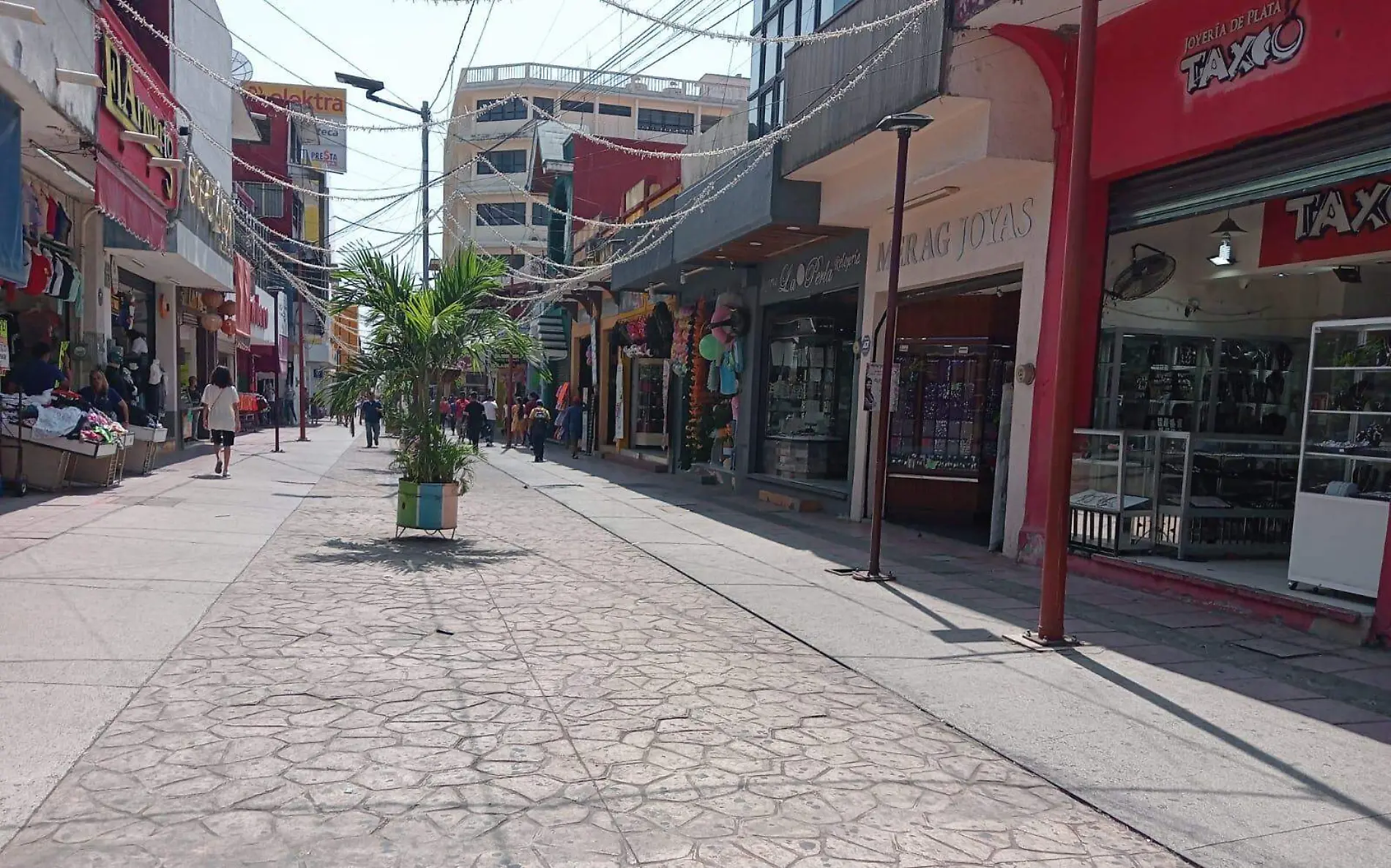 sendero peatonal tapachula